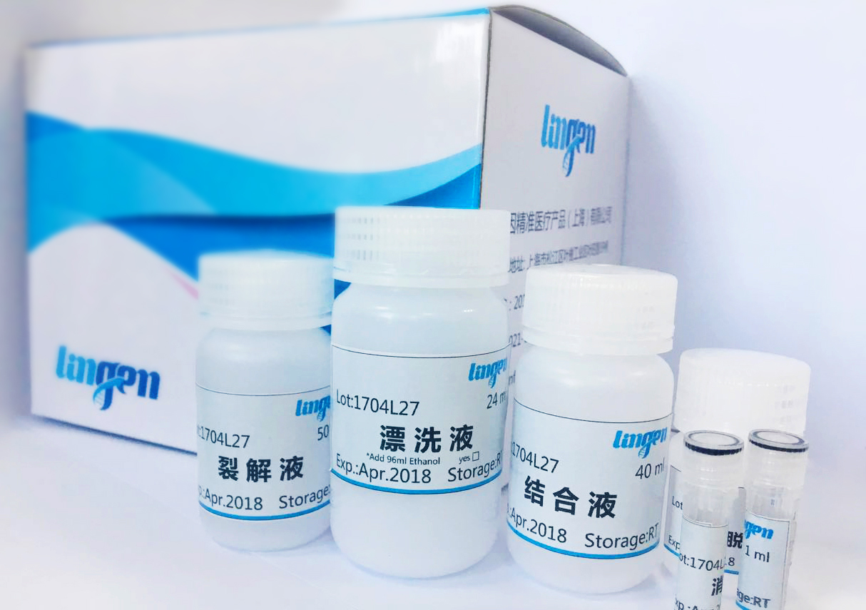 遺伝子検出試薬・消耗品